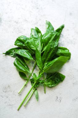 taze yeşil fesleğen kopya alanı ile Metalik arka plan üzerinde twigs 