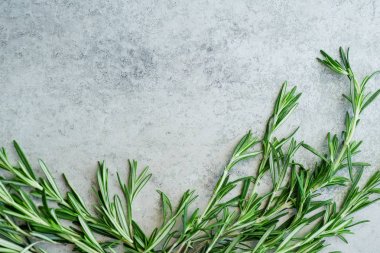 Biberiye dal Merkezi alanına sahip Metalik arka plan üzerinde düzenlenmiş