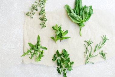 Biberiye ve kekik nane ile ve roka mutfak parşömen kağıt sayfası fesleğen ve maydanoz otlar ile koleksiyonu