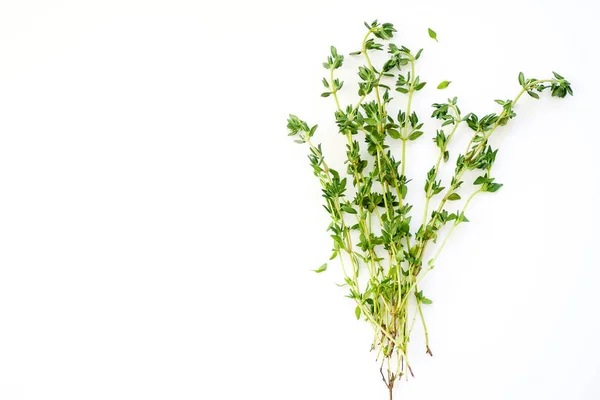 Ramitas Tomillo Fresco Con Hojas Verdes Aisladas Sobre Fondo Blanco — Foto de Stock