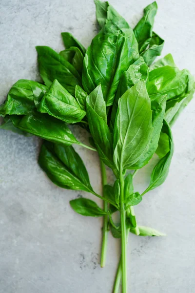 twigs of fresh green basil on metallic background with copy space