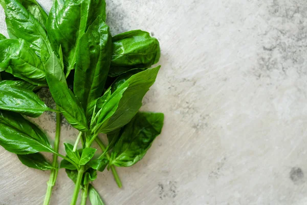 Ramitas Albahaca Verde Fresca Sobre Fondo Metálico Con Espacio Para — Foto de Stock