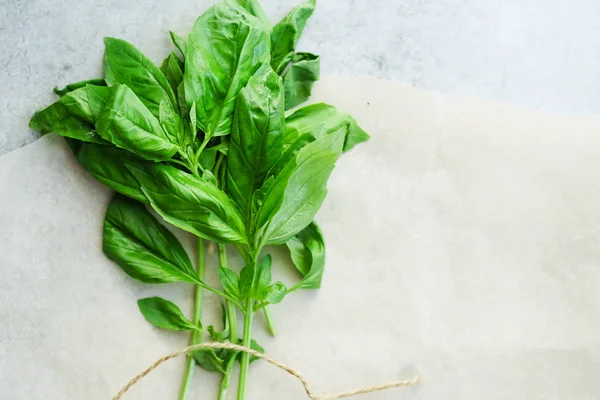 Ramitas Albahaca Verde Fresca Con Cordel Hoja Papel Pergamino Cocina —  Fotos de Stock