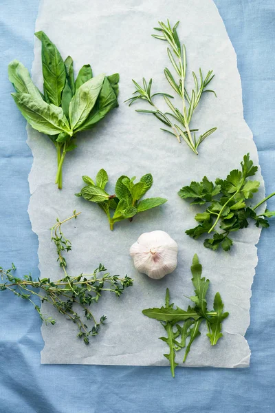 collection of fresh culinary herbs in small bunches with garlic clove on blue linen background