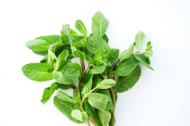 Kopya alanı ile beyaz arka plan üzerinde havai görünümü taze nane yaprakları