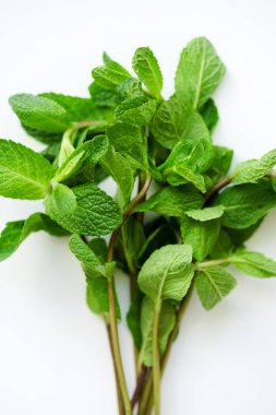 Taze nane yaprakları beyaz zemin üzerine kapatın. Seçici odak
