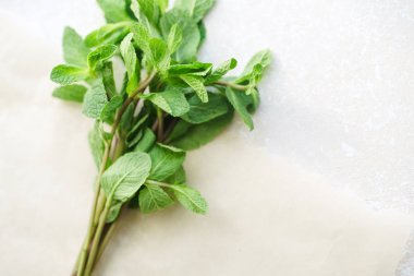 Kopya alanı ile nötr arka plan üzerinde havai görünümü taze nane yaprakları