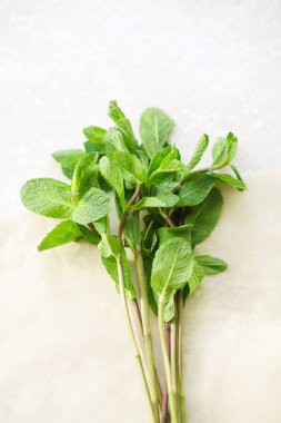 Kopya alanı ile nötr arka plan üzerinde havai görünümü taze nane yaprakları