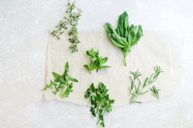 Fresh culinary herbs on white background: rosemary, thyme, mint, arugula, basil and parsley in small bunches clipart