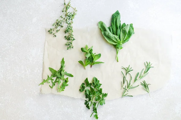 Fresh Culinary Herbs White Background Rosemary Thyme Mint Arugula Basil — Stock Photo, Image