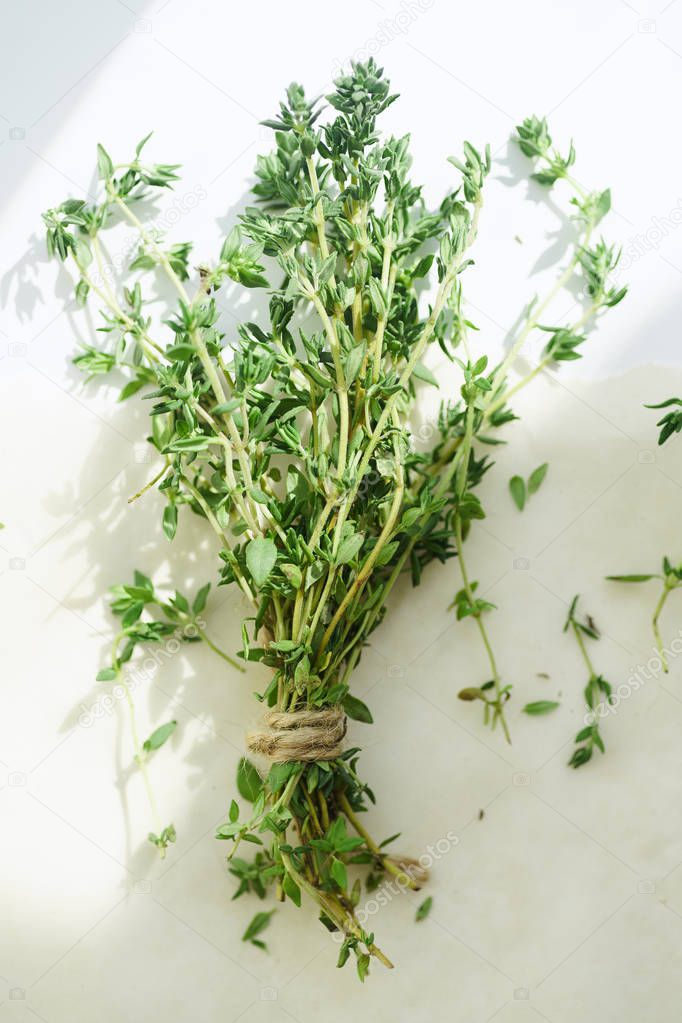 Macro image of bunch of fresh thyme on white background in a ray of sunlight