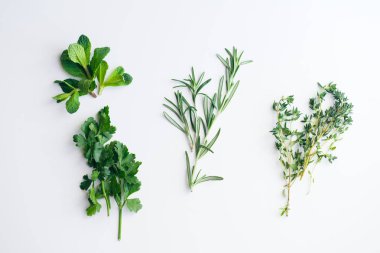 Fresh herbs on white background: rosemary, thyme, mint and parsley in small bunches isolated clipart