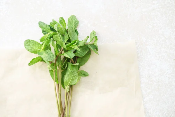 Vue Aérienne Des Feuilles Menthe Fraîche Sur Fond Neutre Avec — Photo