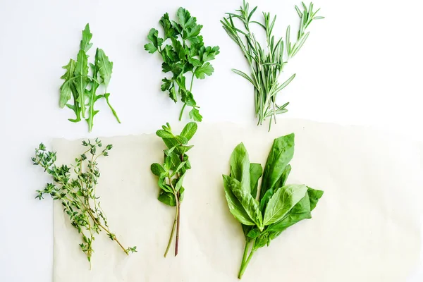 Hierbas Culinarias Frescas Sobre Fondo Blanco Romero Tomillo Menta Rúcula — Foto de Stock