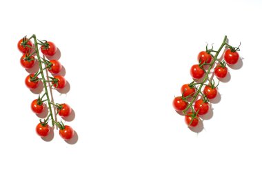 Sağlıklı renkli domatesler beyaz arka planda sert güneş ışığında sert gölgeler altında. Vejetaryen yemeği kavramı 