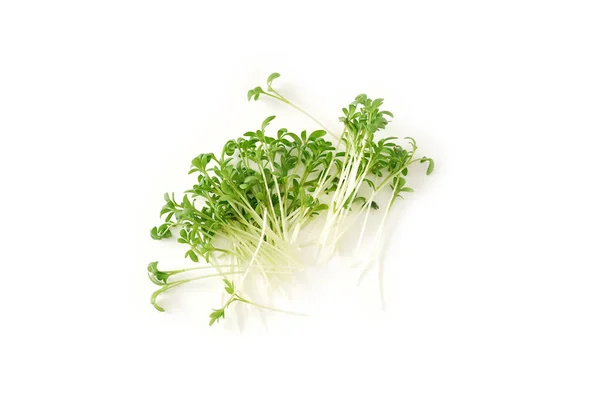 Salada Agrião Micro Verdes Fundo Branco Conceito Alimento Saudável Vegan — Fotografia de Stock