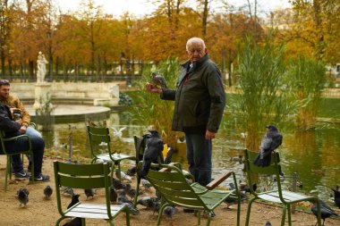 PARIS, FRANCE - NOVEMBER 6, 2019: Elderly man feeding pigeons while standing near pond at Tuileries gardens