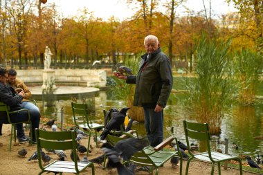 PARIS, FRANCE - NOVEMBER 6, 2019: Elderly man feeding pigeons while standing near pond at Tuileries gardens                              