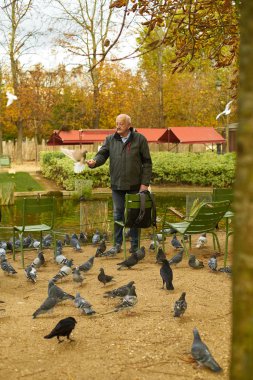 PARIS, FRANCE - NOVEMBER 6, 2019: Elderly man feeding pigeons while standing near pond at Tuileries gardens                              