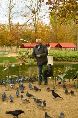PARIS, FRANCE - NOVEMBER 6, 2019: Elderly man feeding pigeons while standing near pond at Tuileries gardens                              
