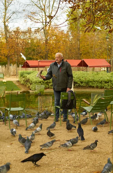 PARIS, FRANCE - NOVEMBER 6, 2019: Elderly man feeding pigeons while standing near pond at Tuileries gardens                              
