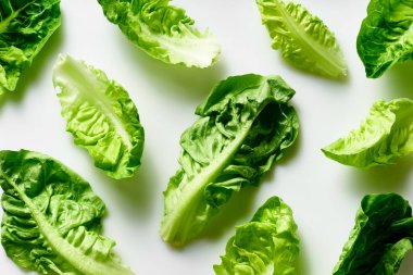 Beyaz arka planda izole edilmiş romaine yaprakları ile yaratıcı düz yatıyordu, yakın görüş, sağlıklı vegan gıda konsepti 
