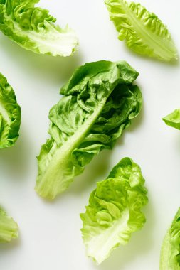 Beyaz arka planda izole edilmiş romaine yaprakları ile yaratıcı düz yatıyordu, yakın görüş, sağlıklı vegan gıda konsepti 