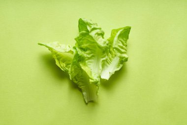 Yeşil arka planda romaine yaprakları ile yaratıcı düz yatıyordu. Sağlıklı vejetaryen gıda kavramı 