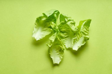 Yeşil arka planda romaine yaprakları ile yaratıcı düz yatıyordu. Sağlıklı vejetaryen gıda kavramı 