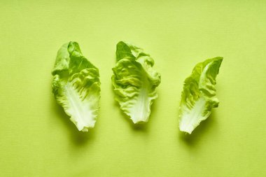 Yeşil arka planda romaine yaprakları ile yaratıcı düz yatıyordu. Sağlıklı vejetaryen gıda kavramı 