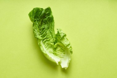 Yeşil arka planda romaine yaprağı ile yaratıcı düz yatıyordu. Sağlıklı vejetaryen gıda kavramı 