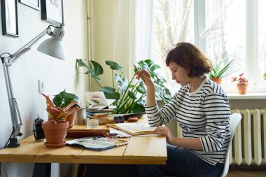 İş yerindeki kadın sanatçı evden çalışıyor. Kot pantolon ve çizgili gömlek giymiş bir kadın masada oturuyor ve resim çiziyor.. 