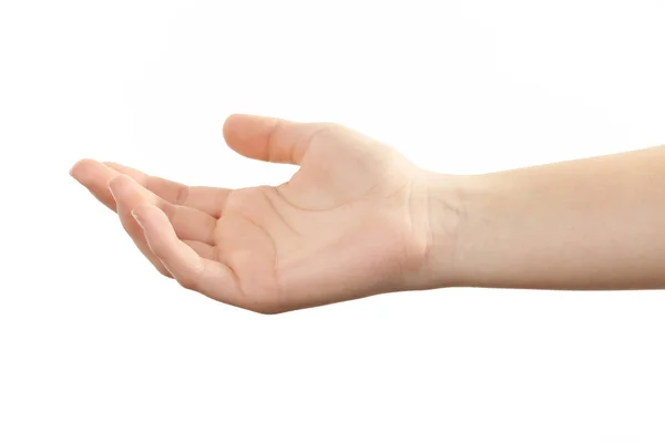 Woman hand on white — Stock Photo, Image