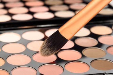 Kozmetik toz fırçası ve palet