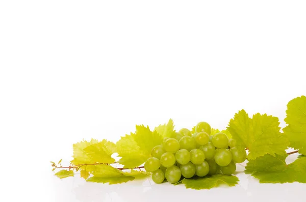 Свежий виноград на белом — стоковое фото