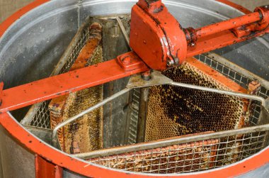 Beekeeper is harvesting honey clipart