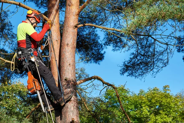 Arborista en el trabajo — Foto de Stock