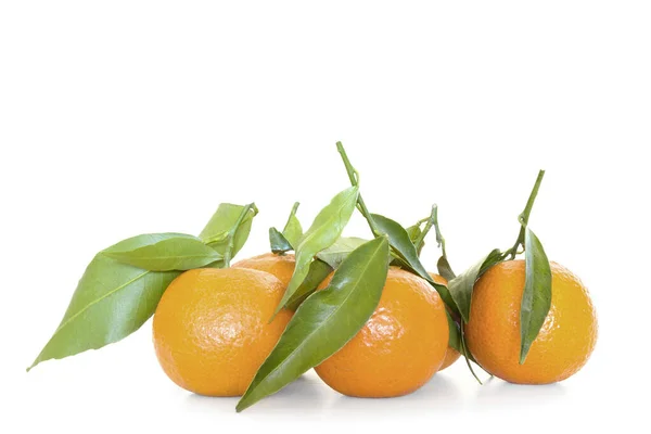 Frische Rohe Bio Mandarinen Clementine Mit Grünen Blättern Auf Weißem — Stockfoto