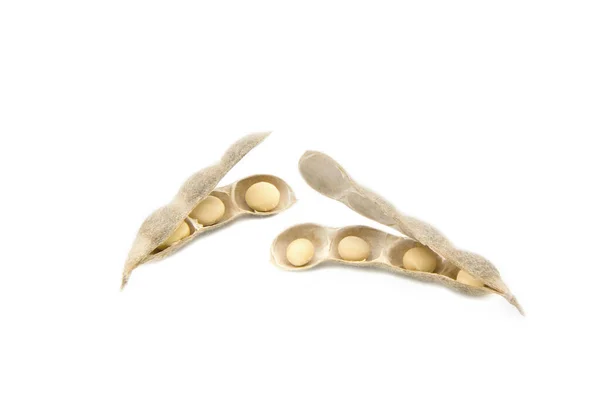 Soybean Pods Seeds Isolated White Background — Stock Photo, Image