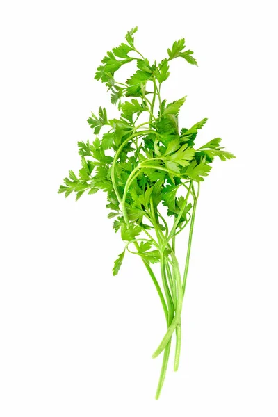 Fresh Organic Bunch Parsley Isolated White Background — Stock Photo, Image