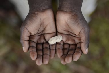 Fıstık holding Afrikalı Çocuk eller
