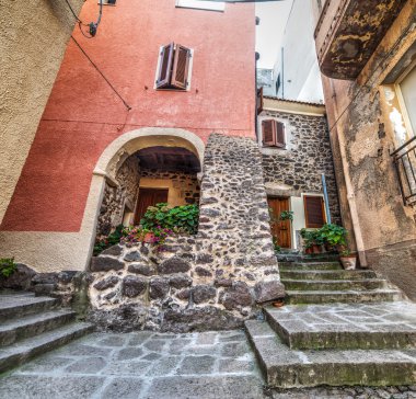 Sardunya rustik evde