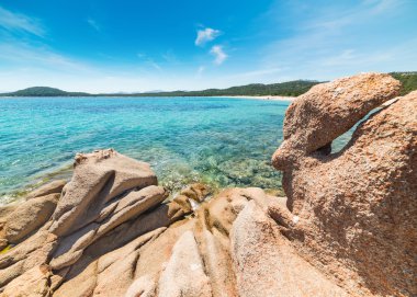 Liscia Ruja kayalarda