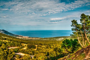 bir bulutlu gökyüzü altında kıyı şeridi