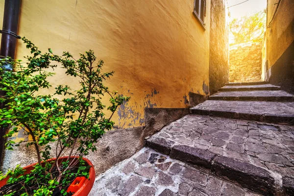 Escalier étroit à Castelsardo — Photo