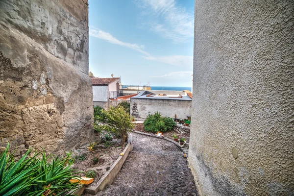 Picturesque corner in Casterlsardo — Stock Photo, Image