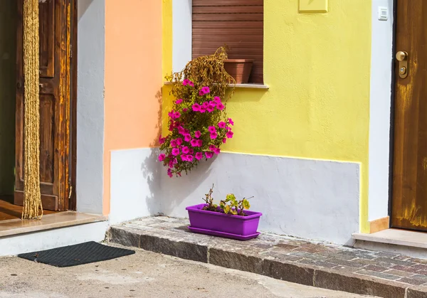 Macetas y puertas de madera — Foto de Stock