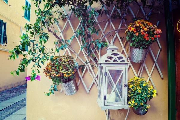 サルデーニャの植木鉢のクローズ アップ — ストック写真