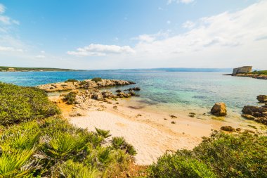 Alghero kıyı şeridi içinde küçük koy