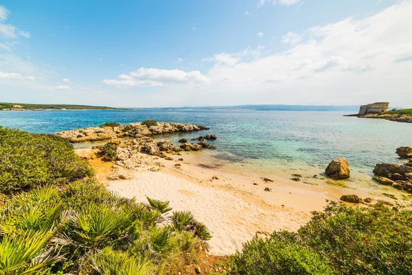 Piccola insenatura sulla costa di Alghero — Foto Stock